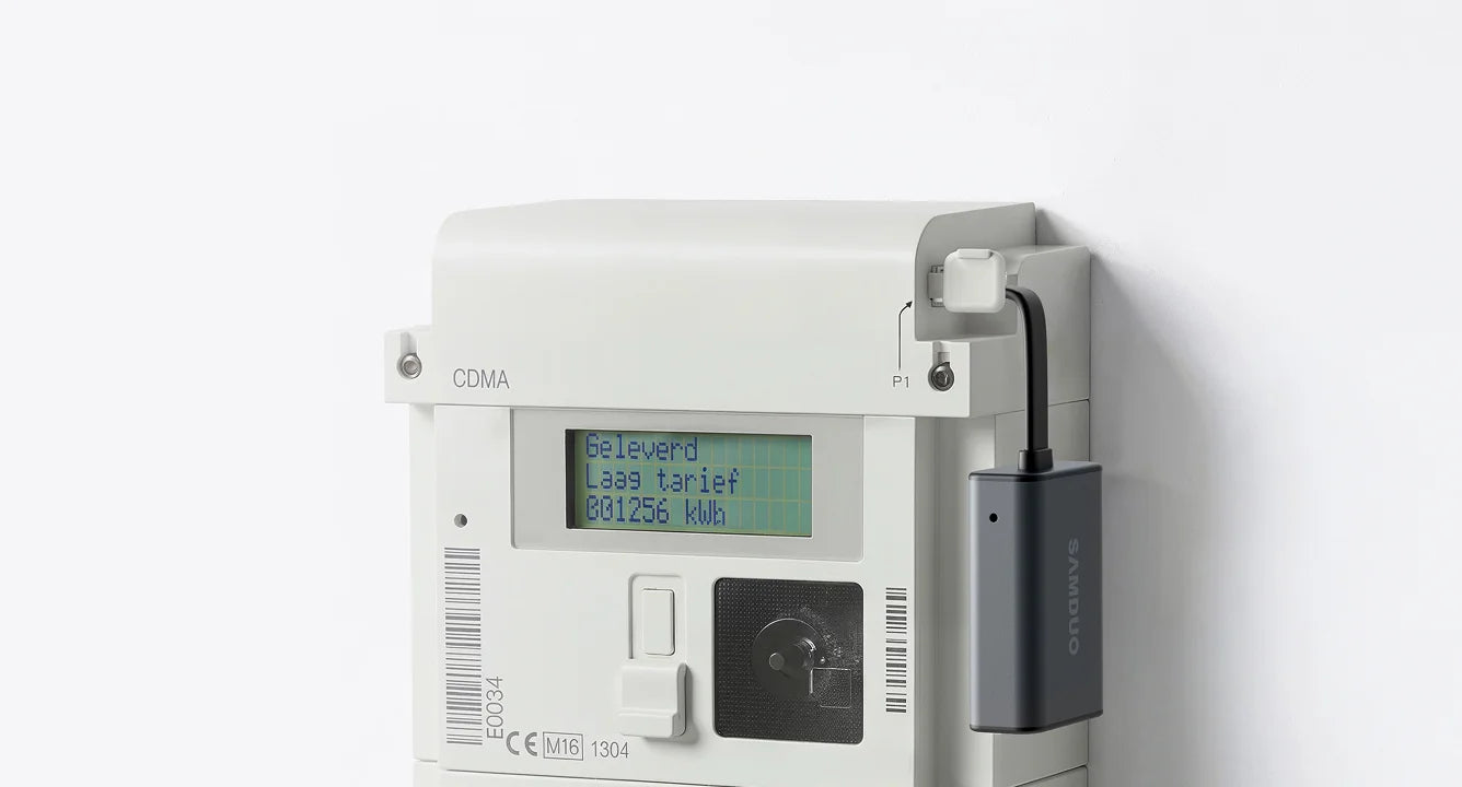 P1 Meter Seamless Integration